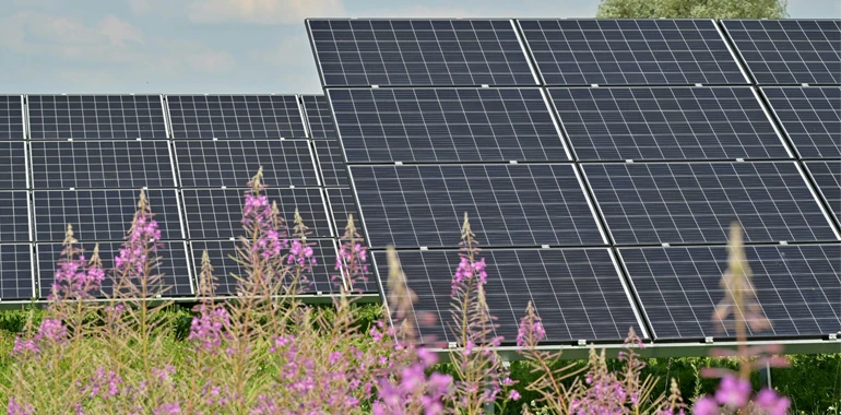 SPL-Distribution-PV-SYS1.jpg SPL-Distribution-PV-SYS1.jpg